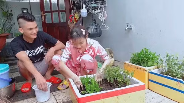 Không chỉ vậy, vợ chồng Mạc Văn Khoa còn trồng các loại rau ngắn ngày trong thùng xốp. Ảnh: Youtube