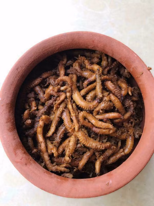 Vào dịp cận Tết, số lượng rươi có hạn nên giá cao hơn. Rươi kho nồi đất, giá hơn 1 triệu đồng/ nồi. Ảnh: Internet