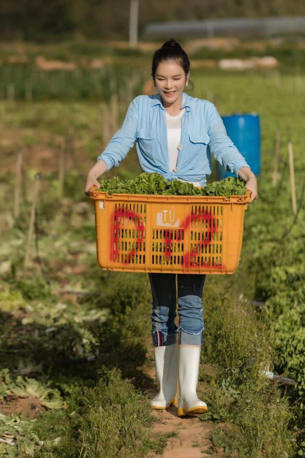 Ngoài căn biệt thự xa hoa ở TP HCM, Lý Nhã Kỳ còn có nông trại ở Đà Lạt. Nông trại nằm trên ngọn đồi, cách trung tâm 20 km.