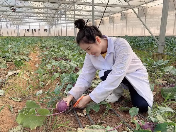 Hiện, nông trại của Lý Nhã Kỳ chủ yếu cung cấp cho gia đình, bạn bè.