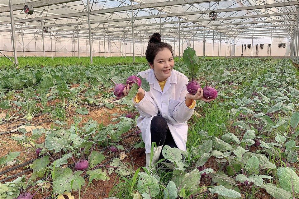 Su hào tím được Lý Nhã Kỳ hào hứng thu hoạch.