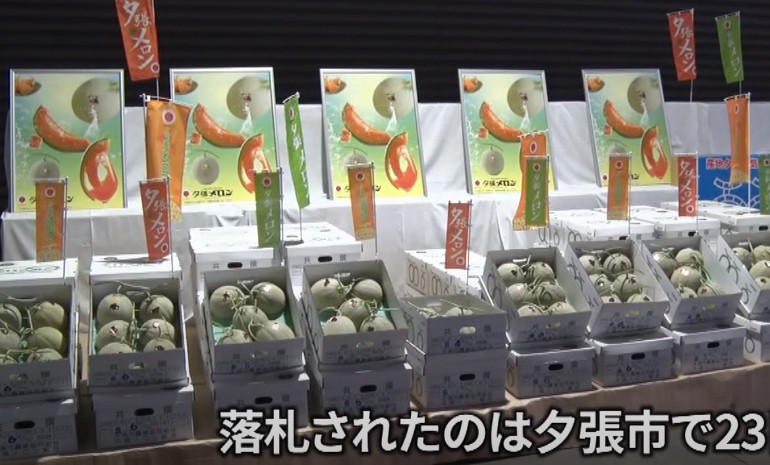 Dưa lưới vốn là đặc sản theo mùa nổi tiếng của thành phố Yubari trên đảo Hokkaido. Ảnh: Kyodonews.