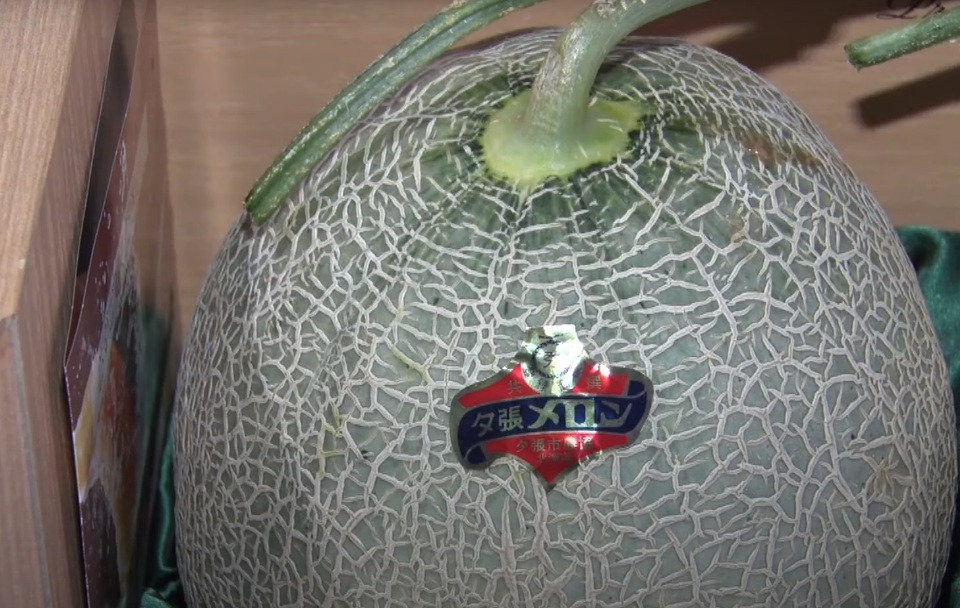 Người đứng đầu công ty - Iori Kage, cho biết đưa ra mức giá nói trên với hy vọng có thể phần nào khuyến khích người nông dân. Ảnh: Kyodonews.