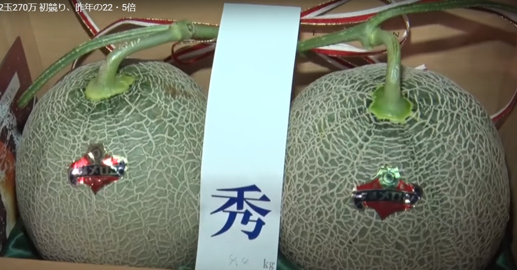Tất cả các trái dưa không đạt tiêu chuẩn đều được tiêu hủy toàn bộ. Ảnh: Kyodonews.