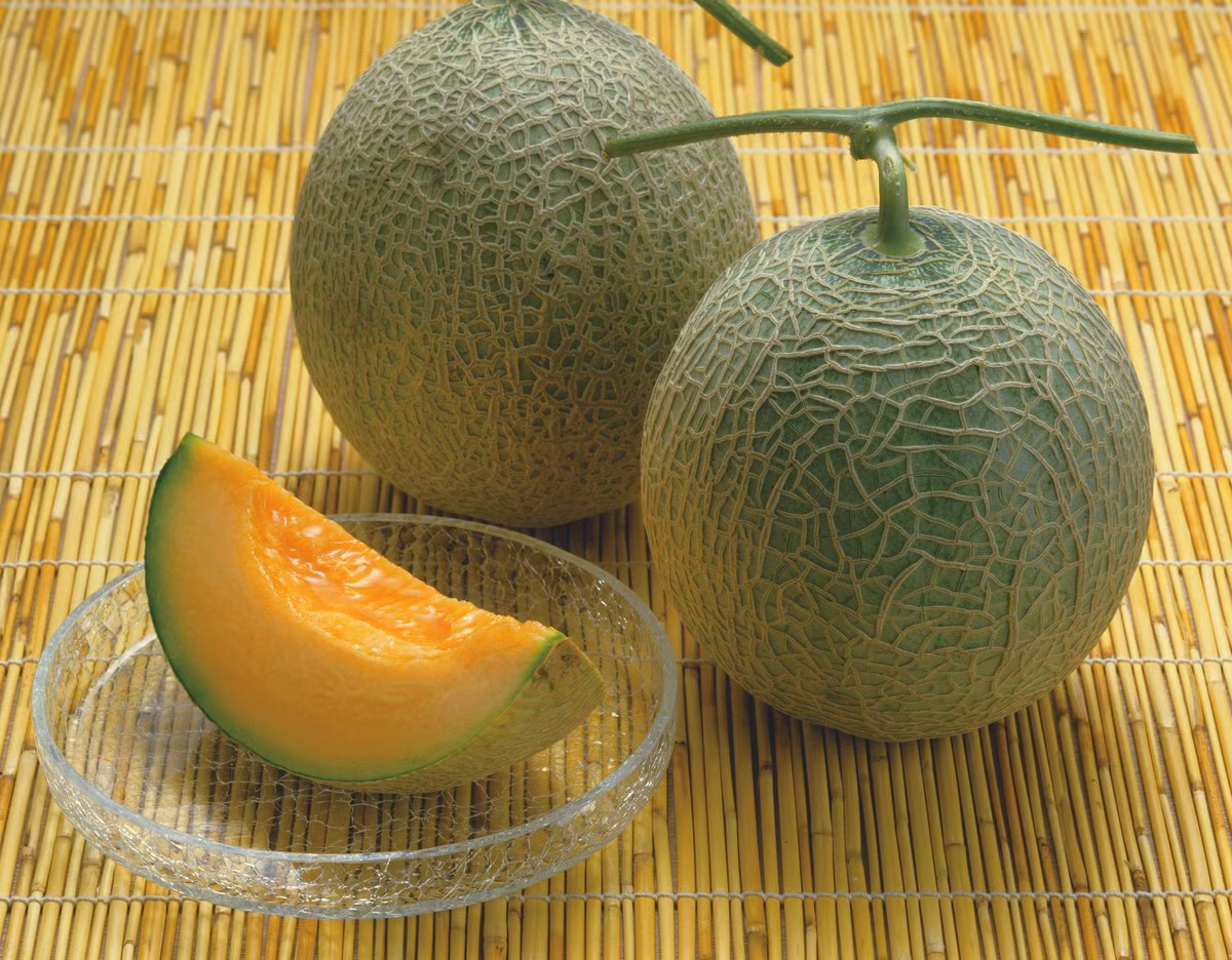 Con số 2,7 triệu yên năm nay cao gấp 22,5 lần mức giá được đưa ra ở phiên đấu giá năm ngoái, nhưng vẫn nhỏ hơn gần một nửa so với kỉ lục năm 2019, khi hai quả dưa lưới Yubari được bán với giá 5 triệu yên (tương đương hơn một tỷ đồng). Ảnh: Kyodonews.