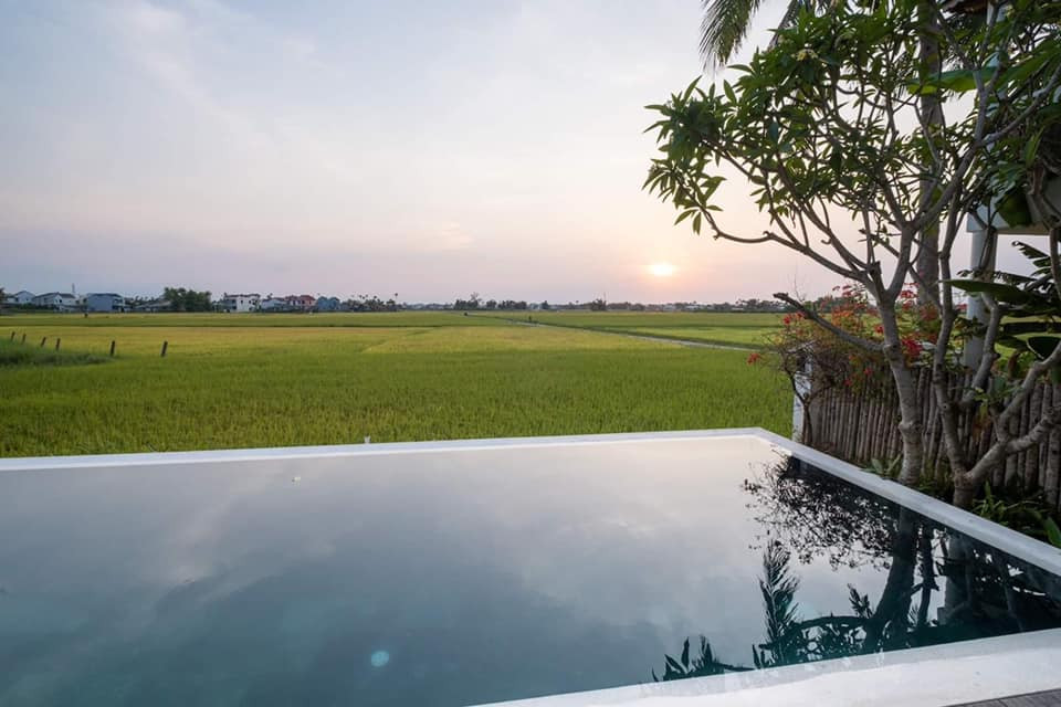 Gia chủ khắc phục vấn đề nhiều muỗi, thuốc trừ sâu, mùa gặt có khói... bằng các cách đóng kín cửa hoặc đi du lịch vài ngày trong vụ thu hoạch. Nguồn ảnh: FB Van Anh Duong Diels