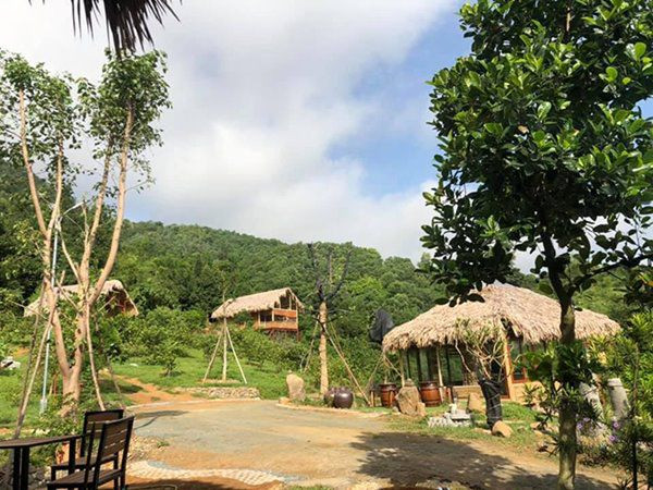 Nơi đây là chốn nghỉ dưỡng của gia đình nên được nghệ sĩ trồng nhiều cây xanh. Ảnh: Thoidaiplus.