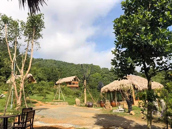 Nơi đây là chốn nghỉ dưỡng của gia đình nên được nghệ sĩ trồng nhiều cây xanh. Ảnh: Thoidaiplus.