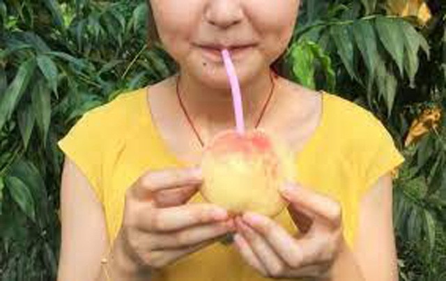 Đất trồng có lẫn tro núi lửa rất giàu nguyên tố vi lượng đã tạo nên giống đào ngon, ngọt, siêu mọng và thường được dùng làm nước ép.