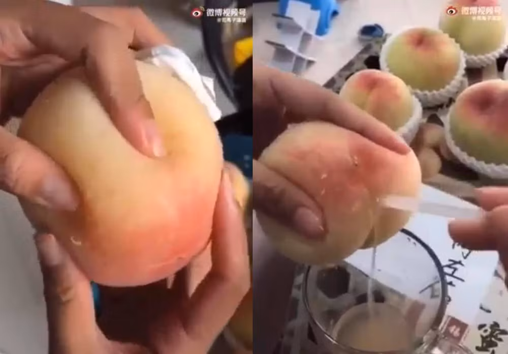 Đào nhiều nước đến độ vắt ra có thể được nửa cốc nước, thậm chí có thể dùng ống hút cắm thẳng vào quả đào để hút nước.