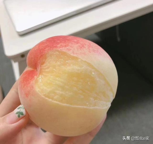 Loại đào này quả to, nặng khoảng 0,5kg – 0,6kg, ngọt, ngon và cực kỳ nhiều nước.