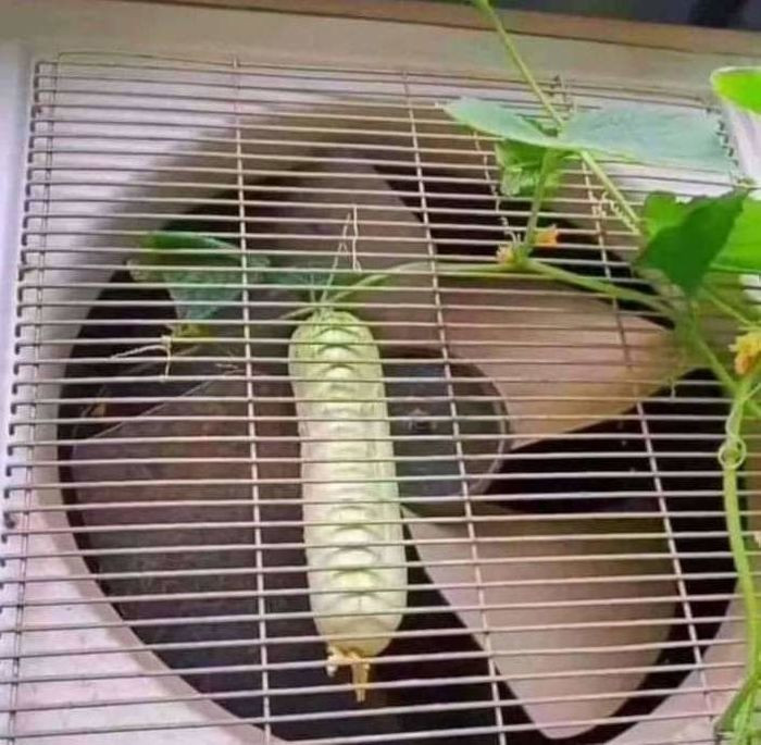 Gia chủ không hiểu sao một nơi khó vậy mà cũng làm được. Ảnh: hits