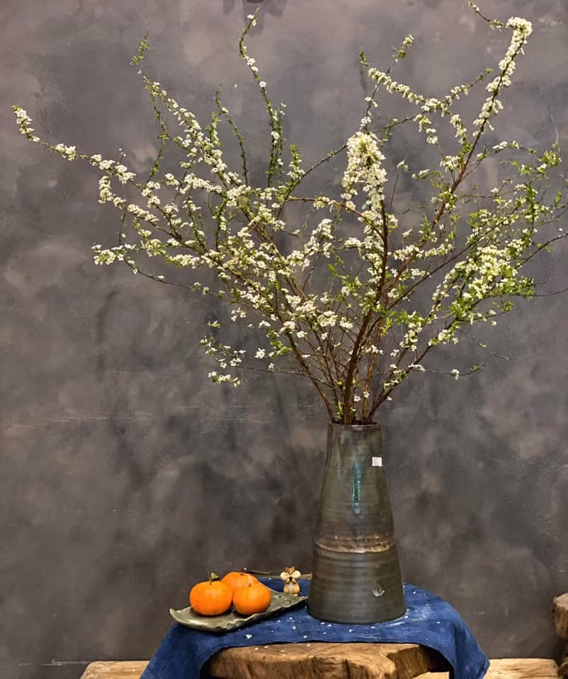 Giá của một bó hoa tuyết mai khoảng 200.000 -270.000 đồng/bó (6-7 cành/bó)