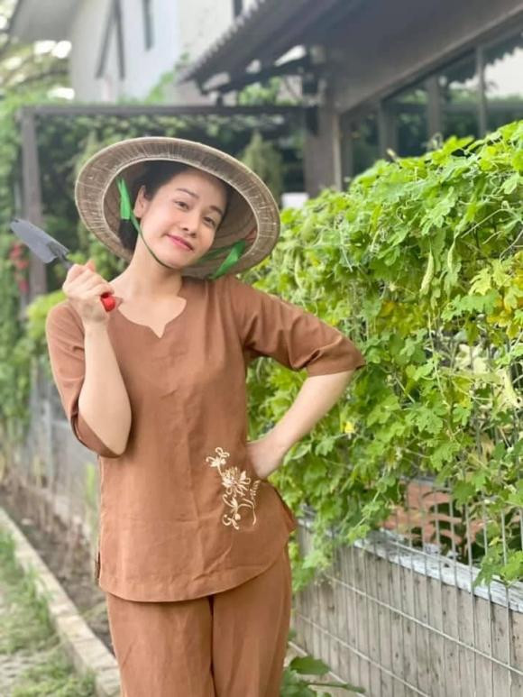 Có cả loại cây leo giàn trên trên tường rào.