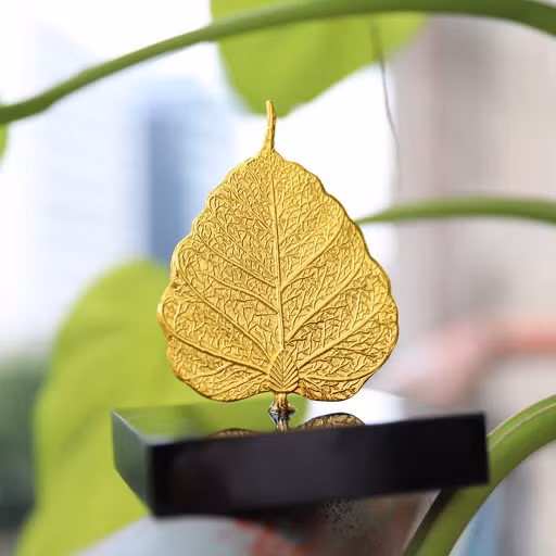 Mỗi lá bồ đề vàng này được cho là giúp người sở hữu có được bình an may mắn. Trên các trang mạng, mỗi tấm lá bồ đề cầu bình an được rao bán với giá từ 145.000 - 300.000 đồng. (Ảnh: internet). Ảnh: Internet