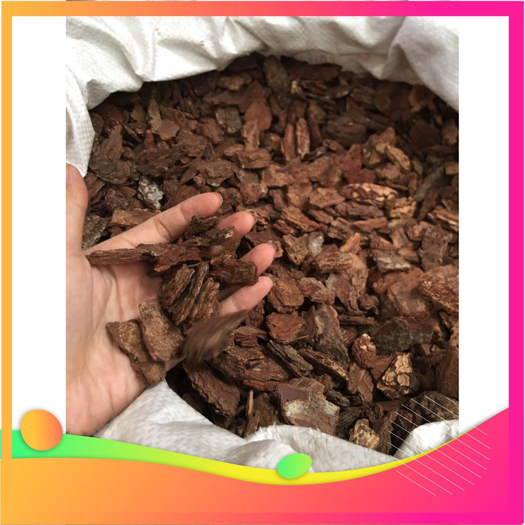 Trên các trang mua bán, vỏ thông đỏ được rao bán với giá từ 25.000 đồng/kg tùy kích thước. Ảnh: Internet