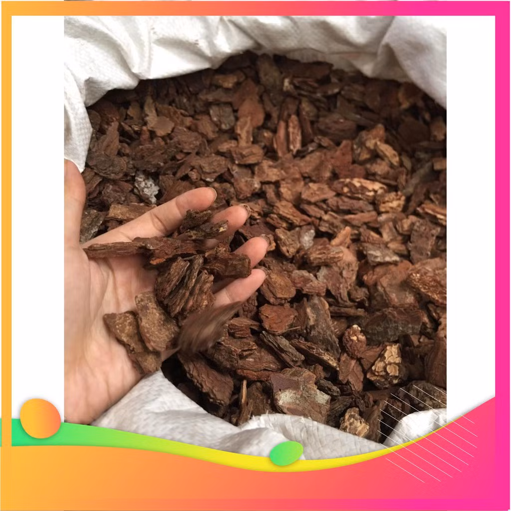 Trên các trang mua bán, vỏ thông đỏ được rao bán với giá từ 25.000 đồng/kg tùy kích thước. Ảnh: Internet