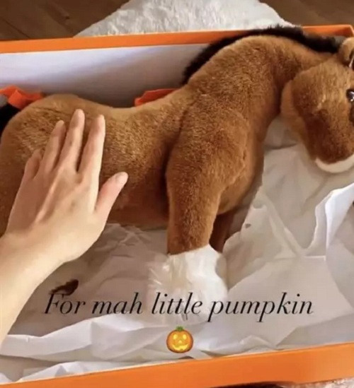 Không rõ tổng số tiền Tiểu Giang đã bỏ ra là bao nhiêu nhưng chắc chắn không phải là con số tầm thường. Riêng con ngựa bông Hermes đã có giá khoảng 17,5 triệu đồng.