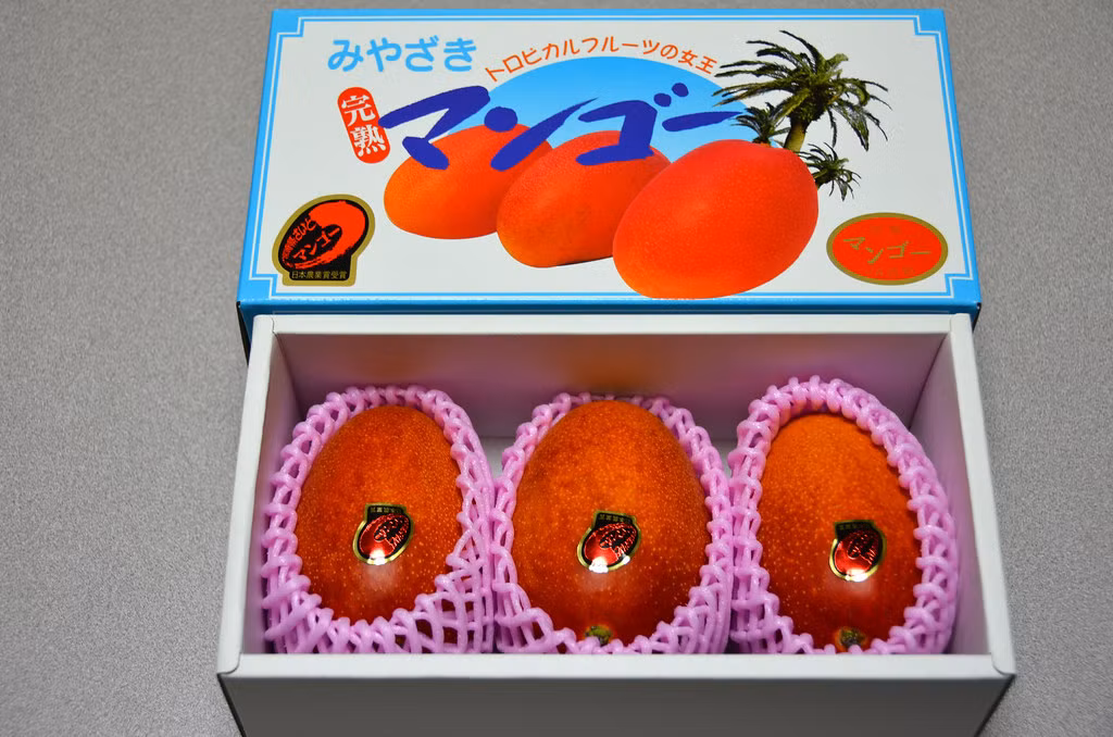 Tại Nhật Bản, giá trung bình cho mỗi quả xoài Miyazaki là từ 2-6 triệu đồng. Ảnh: Flickr