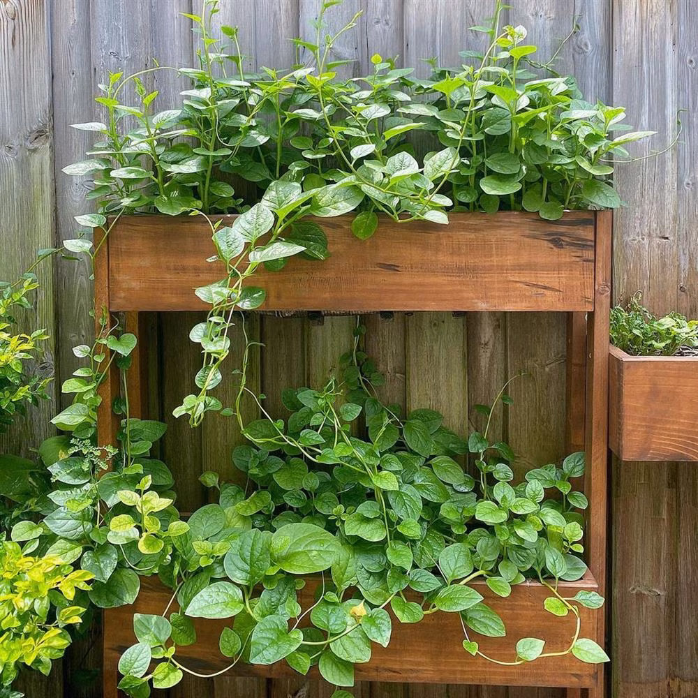 Diện tích khu vườn không quá rộng, song Hà Tăng sắp xếp, phân bố mọi thứ rất gọn gàng, sạch sẽ, bắt mắt.