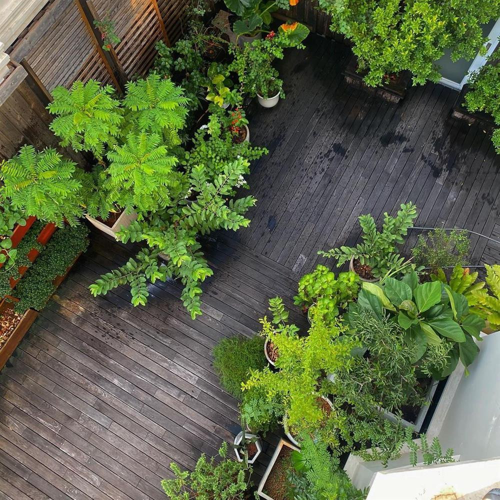 Khu vườn tuyệt đẹp từ góc nhìn trên cao. Nguồn ảnh: FBNV