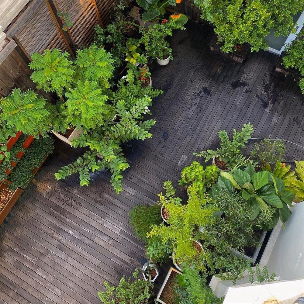 Khu vườn tuyệt đẹp từ góc nhìn trên cao. Nguồn ảnh: FBNV