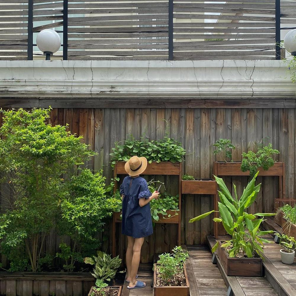 Mới đây, "ngọc nữ" đăng tải khoảnh khắc thu hoạch rau củ trên trang cá nhân.