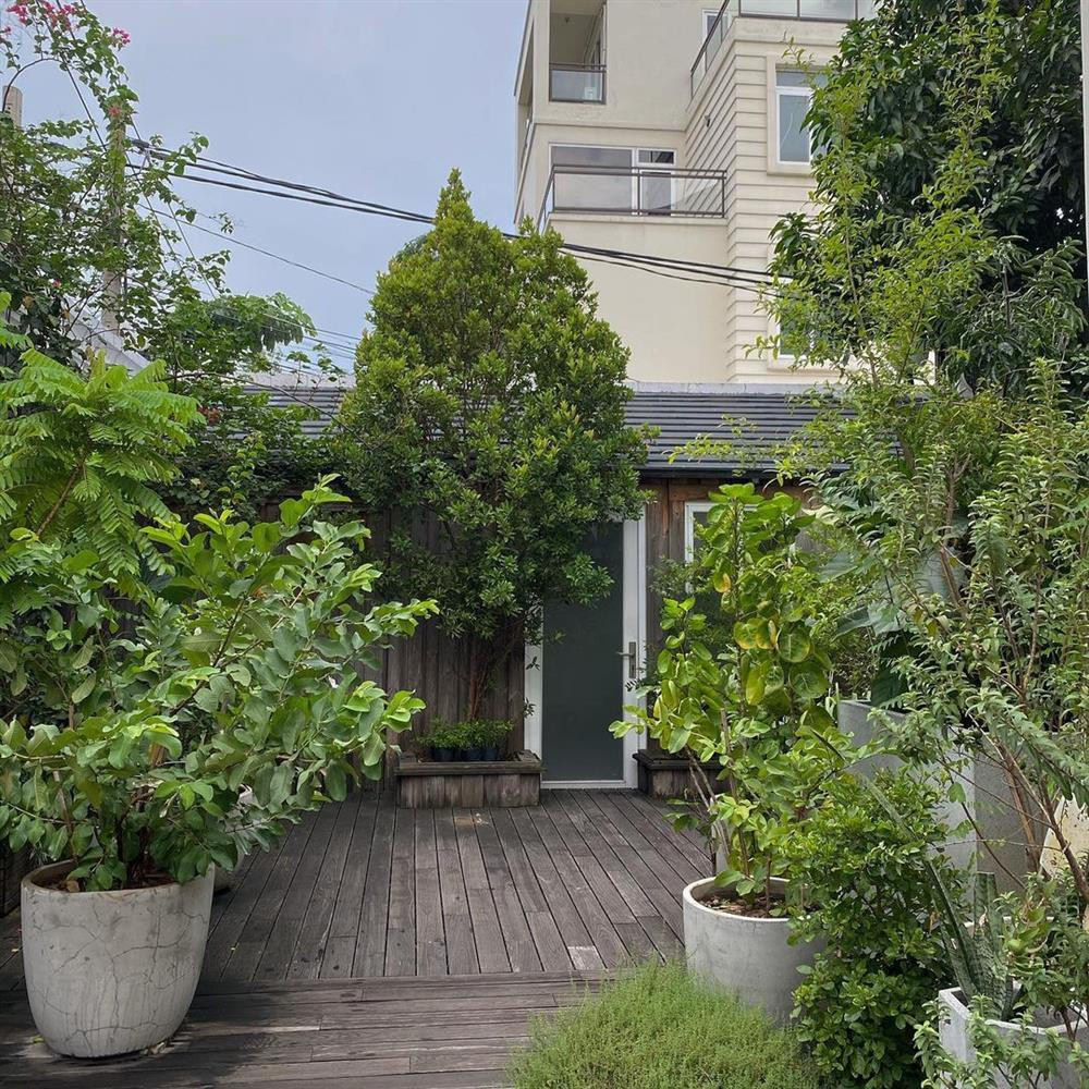 Một góc vườn xanh mướt, nhìn vô cùng thích mắt.