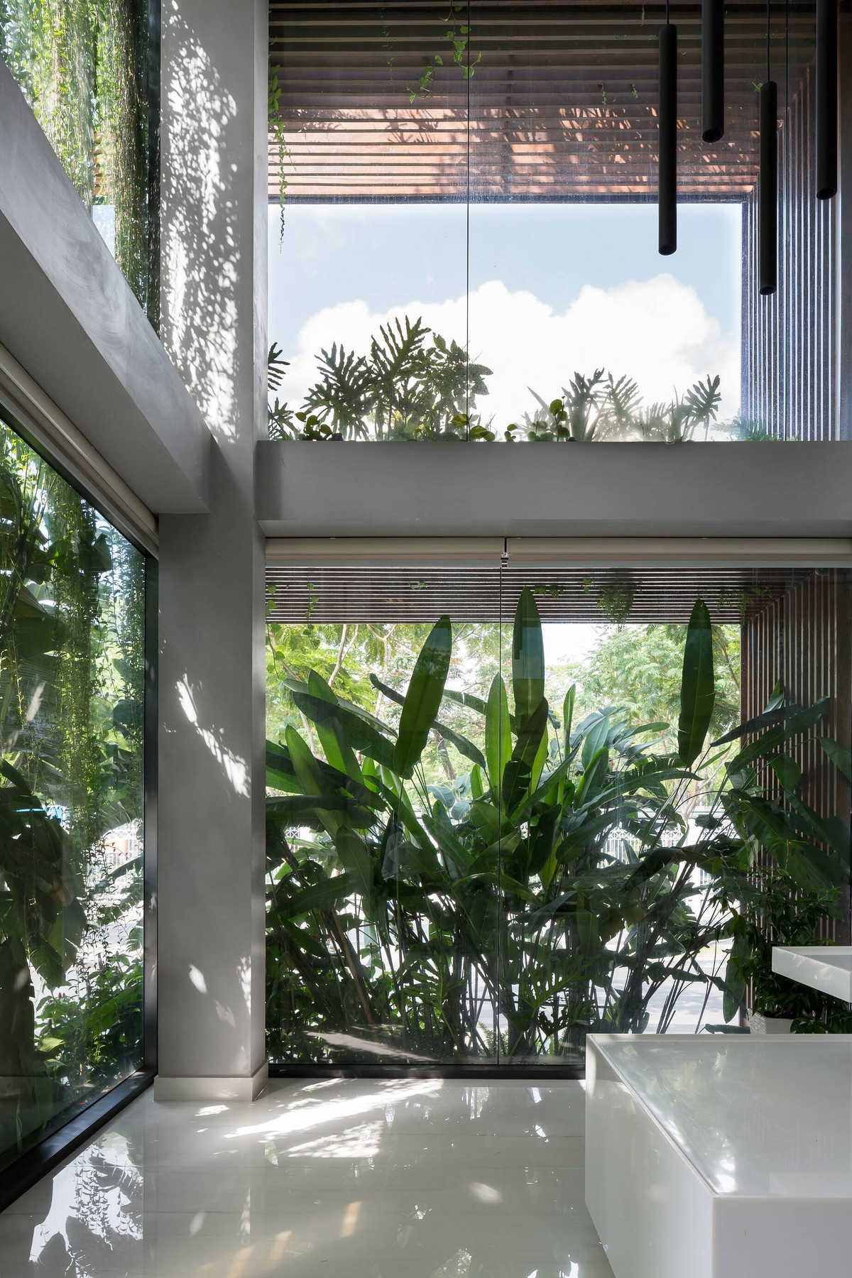 Góc nhìn từ trong tòa nhà gần gũi thiên nhiên.