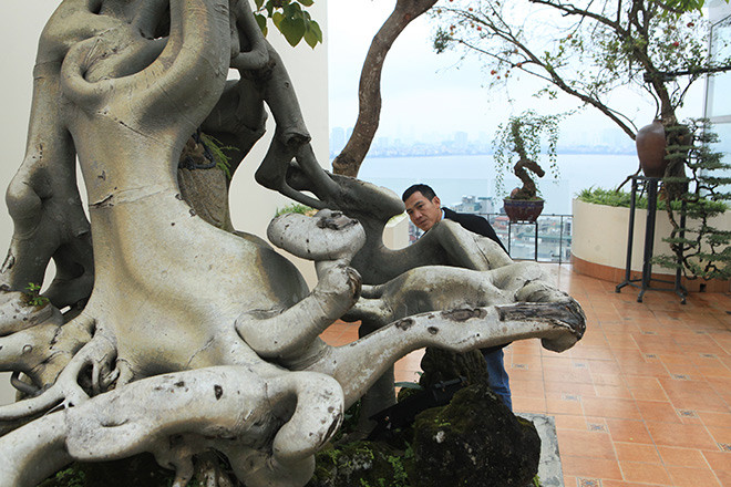 Phía trên là thân vè bẹt thành ba mảng kết tụ ở trung tâm tạo thành một điểm trống. Ảnh: Dân Việt.