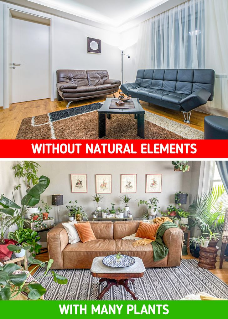 Trồng cây trong nhà đang trở thành xu hướng. Theo các chuyên gia, một ngôi nhà hiện đại nên có một số loại cây trồng trong nhà.