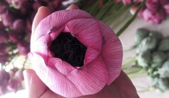 Do số lượng không có nhiều nên nếu hết phải đợi đến vụ sau mới đặt được loại “đệ nhất trà” này. Ảnh: Traminhnghia.