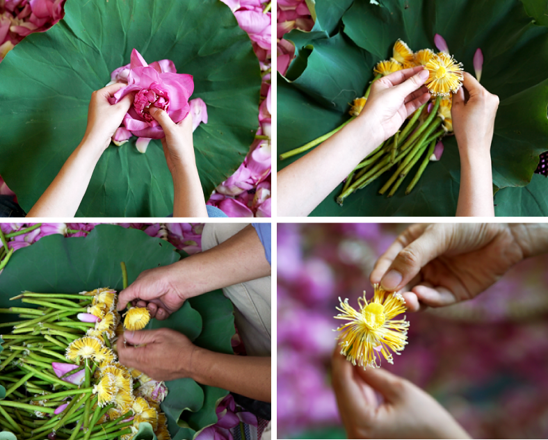 Cũng bởi giá cao nên trà sen thượng hạng thường phục vụ đối tượng là khách đại gia, khách nước ngoài hoặc những người sành về trà muốn mua để thưởng thức...Ảnh: Internet