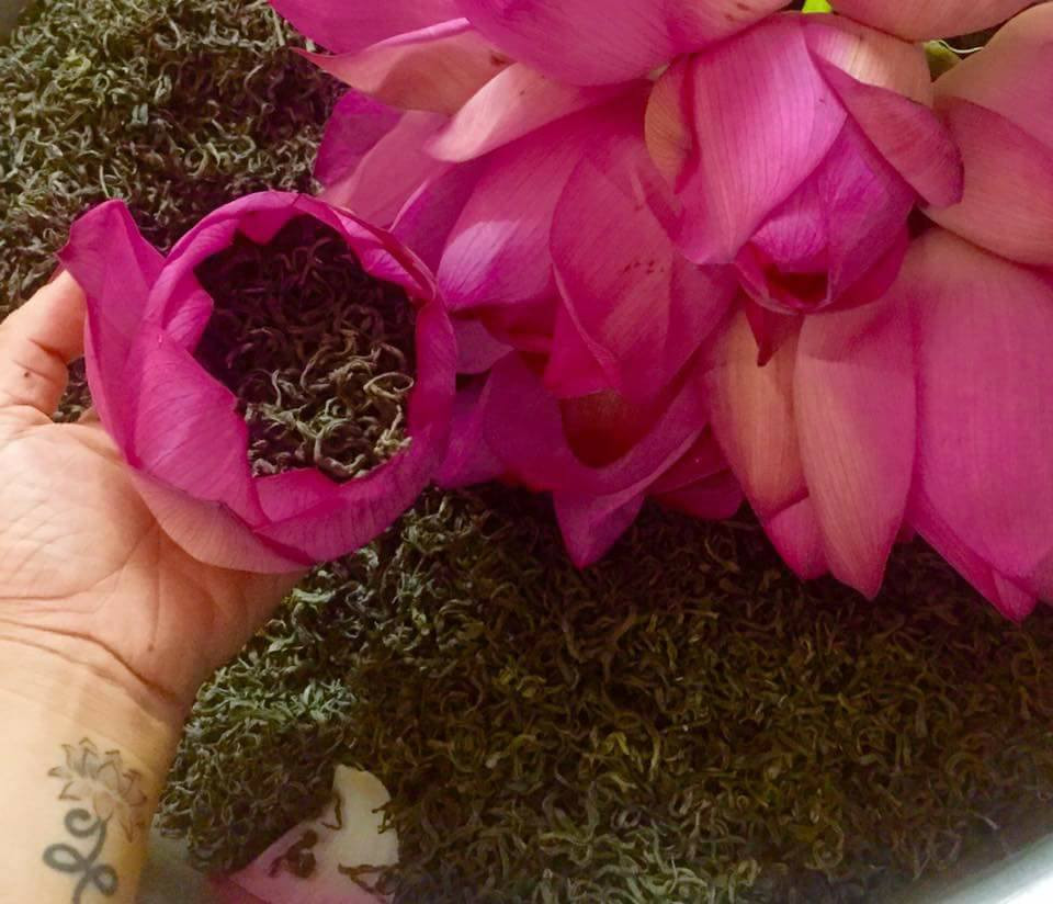 Theo người bán, trà ướp sen ngon nhất thường được làm theo phương pháp thủ công và sao sấy truyền thống. Ảnh: Facebook.