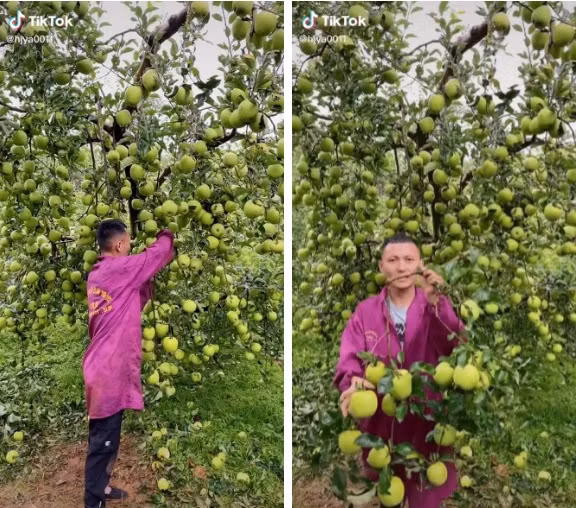 Choang vang cay ra qua “vo ke hoach” nhung ai cung muon so huu