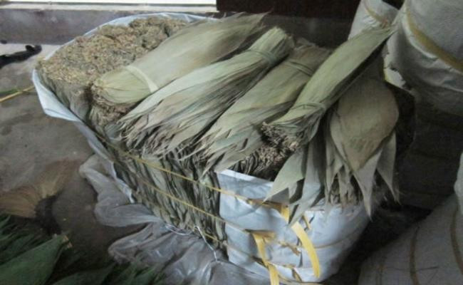 Những chiếc lá tre này được làm sạch tự nhiên, không dùng hóa chất nên được xuất khẩu ra nước ngoài để làm vật liệu gói bánh, gói thực phẩm…Ảnh: Dân Việt.