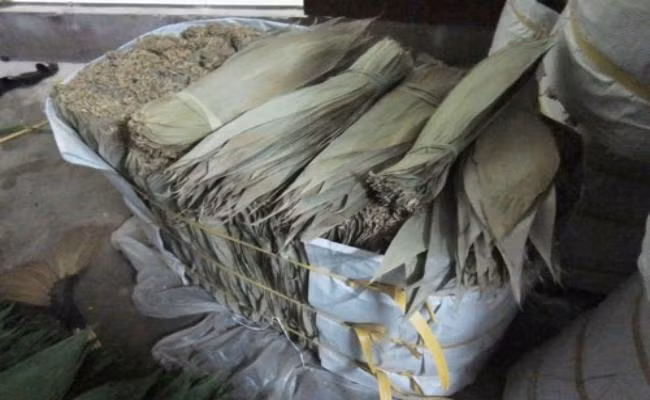 Những chiếc lá tre này được làm sạch tự nhiên, không dùng hóa chất nên được xuất khẩu ra nước ngoài để làm vật liệu gói bánh, gói thực phẩm…Ảnh: Dân Việt.