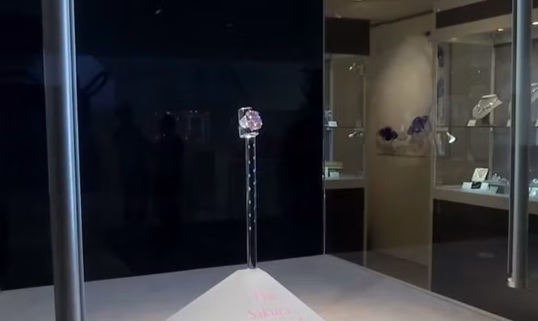 The Sakura có màu hồng tuyệt đẹp. Nguồn ảnh: NYpost, CNBC