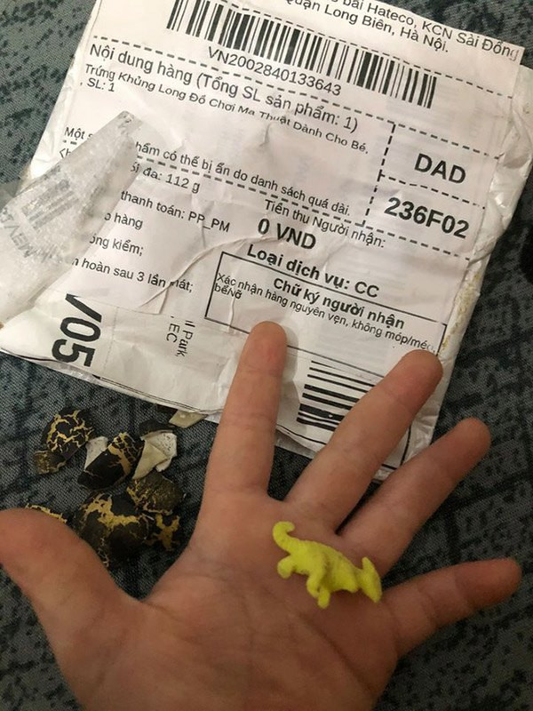 Một anh chàng đặt quả trứng khủng long đồ chơi cho cháu với giá 1.000 đồng. Tuy nhiên, anh ngao ngán khi nhận được thứ bé tẹo bằng ngón tay út. Nguồn ảnh: Facebook, Tiktok.