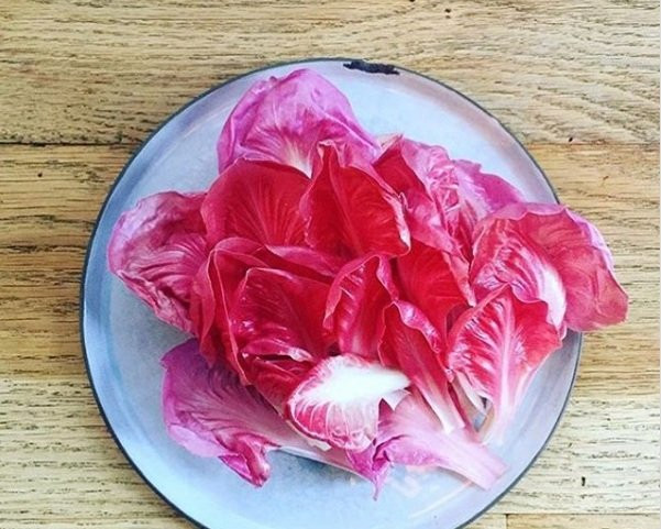 Theo đó, để mua được 1kg xà lách hồng, khách hàng phải bỏ ra tới 22 USD (tương đương hơn 500.000 đồng). Ảnh: Instagram