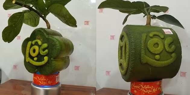 Dịp Tết Nguyên đán Tân Sửu, anh Huỳnh Thanh Tâm (ở thị trấn Châu Thành, huyện Châu Thành, tỉnh Bến Tre) bán ra thị trường khoảng 800 trái bưởi tạo hình độc lạ. Trong đó, có 2 mẫu mới là bưởi hình hoa mai và bưởi đồng tiền. Ảnh: VTCnews.