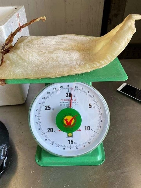 Mỗi kg mực xà khô bán tại Vạn Ninh (Khánh Hòa) chỉ có giá 150.000 đồng trong khi các loại mực khác có giá từ 500-800.000 đồng/kg. Nguồn ảnh: Facebook