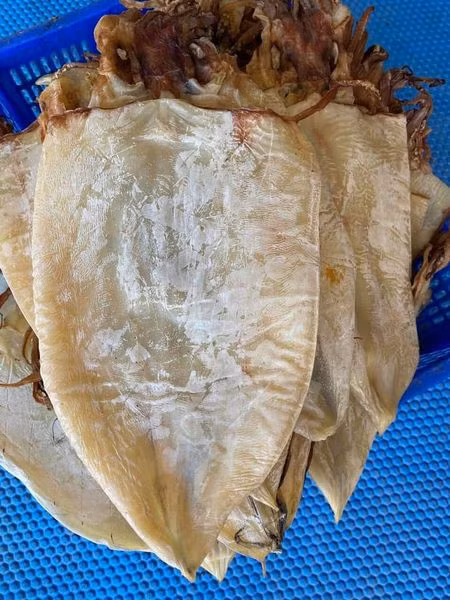 Một người bán hàng có tên Đường Hiên bán loại mực khô khổng lồ cho biết, đây là mực lá đại dương, kích thước từ 2-4 con/kg. Mực dầy mình, trắng, xợi bông, ăn ngọt ngon.