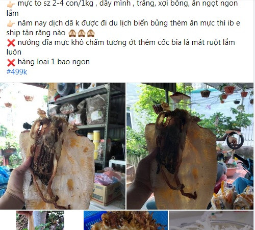 Thế nhưng, thời gian gần đây, loại mực khô khổng lồ (từ 1-3 con/kg) được bán với giá rẻ chưa từng thấy, chỉ từ 300.000-500.000 đồng/kg trên khắp chợ mạng.