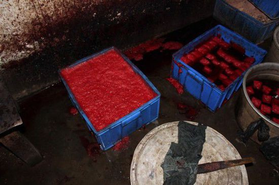 Những miếng tiết đông được ngâm trong dung dịch độc hại rồi được vớt lên và cung cấp cho khách hàng theo yêu cầu. Nguồn ảnh: 163.