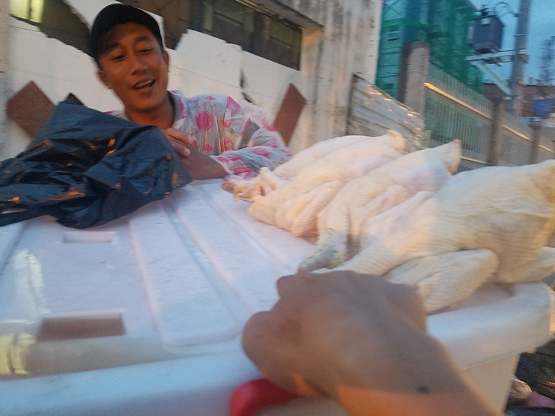 Năm 2018, tại một số chợ gần khu công nghiệp, hay một số tuyến đường của quận Bình Thạnh và Thủ Đức (TP. HCM), gà mái không rõ nguồn gốc được bày bán ra trên thị trường với giá khá rẻ chỉ dưới 50.000 đồng/kg. Ảnh: Plo