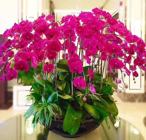 Thậm chí, có bình hoa lớn sử dụng 300 cành hoa lan nhiều màu sắc có giá tới gần 1 tỷ đồng. Ảnh: Hoatuoi.