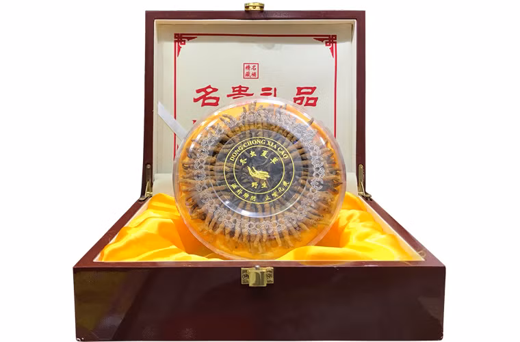 Tại một cửa hàng ở TP HCM, hộp đông trùng hạ thảo Tây Tạng thiên nhiên nguyên con có giá 85 triệu đồng/hộp 50g. Tính ra, mỗi kg đông trùng hạ thảo có giá khoảng 1,7 tỷ đồng. Ảnh: Internet.