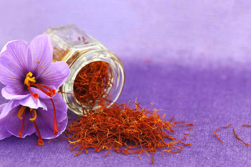 Chỉ có tác dụng tạo mùi hương và tạo màu cho món ăn, song giới siêu giàu Việt vẫn chi hàng trăm triệu đồng để mua cả kg nhụy hoa nghệ tây làm quà Tết xa xỉ. Ảnh: Internet