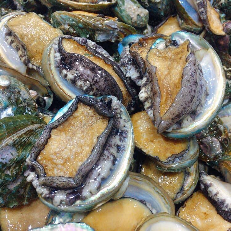 Sự thật bào ngư Hàn Quốc giá “rẻ như cho” bán đầy chợ mạng Su that bao ngu Han Quoc gia “re nhu cho” ban day cho mang